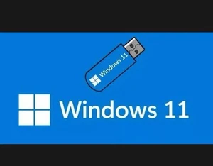 WINDOWS 11 PRO 64BIT ITALIANO BOX USB CON LICENZA ORIGINALE 1 PC - Foto 1 di 1