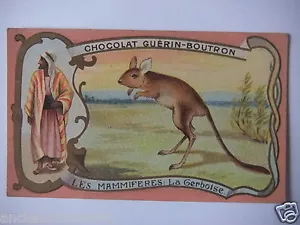CHROMOS ANNÉE 1890-1900 CHOCOLAT GUÉRIN-BOUTRON LES MAMMIFÈRES " LA GERBOISE " - Bild 1 von 2