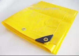 20' x 20' Yellow Heavy Duty Poly 12mil Tarp Patio Party Tent Booth Canopy - Picture 1 of 1