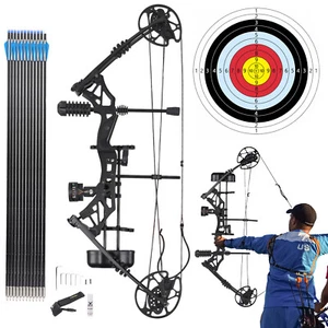 30-70lbs Compound Bow Set Archery Hunting Arrow RH Target Shooting Adult Outdoor - Picture 1 of 12