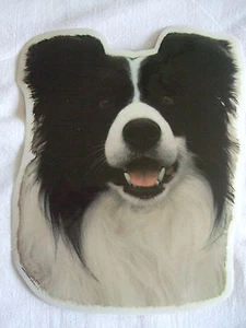 GRAND AUTOCOLLANT - motif chien Tête BORDER COLLIE N° 2 - Imagen 1 de 1