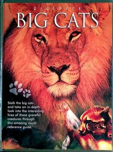 Discover Big Cats / Full Color Illustrated UK Hardcover - Picture 1 of 1