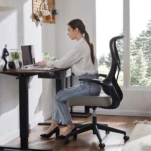 Office Desk Computer Chair Ergonomic Mesh Lumbar Support High Back Swivel Rollin - Picture 1 of 9