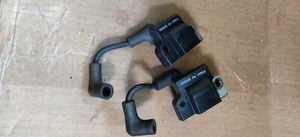 1986 EVINRUDE 6 HP IGNITION COILS - Imagen 1 de 3