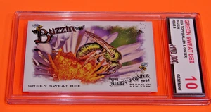 GREEN SWEAT BEE***2024 Topps ALLEN GINTER***BUZZIN--GEM 10***PADRES--Mad DOG - Picture 1 of 1