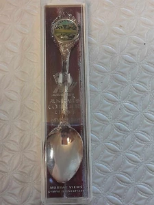Ban Ban Springs Queensland Australia Vintage Souvenir Spoon - Picture 1 of 2