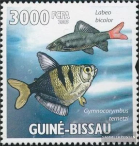 Francobolli Guinea-Bissau 2009 Mi 4473 MNH 2009 Tropicale Pesce - Foto 1 di 1