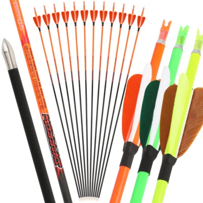 32" Pure Carbon Arrows SP400-1000 Vanes 4.2mm Tips Recurve Compound Bow Hunting - Image 1 of 4