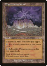 1 x Wintermoon Mesa - Prophecy - LP - Magic The Gathering - MTG