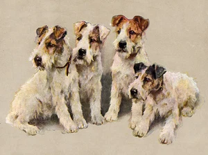 WIRE FOX TERRIER CHARMING DOG GREETINGS NOTE CARD LOVELY GROUP OF FOUR DOGS - Foto 1 di 1
