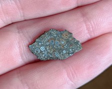 NWA 13543 CV3 End Cut 0.68g Carbonaceous Chondrite