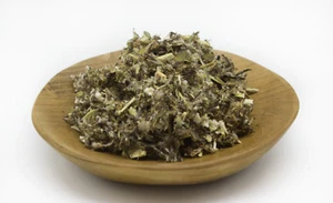 Organic DRIED MUGWORT TEA - Artemisia vulgaris - DRIED HERB - Free Postage - Picture 1 of 1
