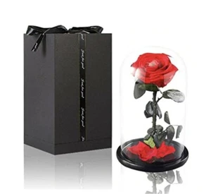 Formemory for Her, Beauty and The Beast Rose Gifts for Mum Woman Wife... - Picture 1 of 4