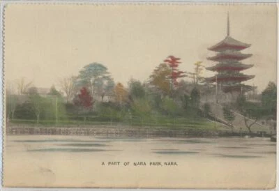 Japan A Part of Nara Park Nara on c. 1905 Vintage Real Photo Hand Tinted Card - Image 1 of 2