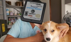 Imagine: Animal Doctor (Nintendo DS, 2007) solo cartucho 3DS 2DS LITE DSI XL - Imagen 1 de 3