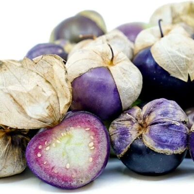 TOMATILLO PURPLE 20 Samen PHYSALIS PHILADELPHICA exotisch PERFEKT FÜR SALSA  - Bild 1 von 3