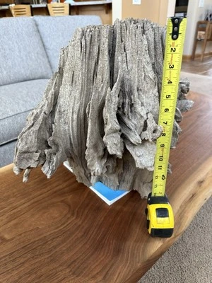 独特风化漂流木天然树桩露台水族箱装饰 — 第 1/4 张图片