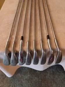 TZ GOLF - VINTAGE Shamrock Vortex / HOGAN RADIAL 3-PW IRONS, Steel Shafts RH - Picture 1 of 9