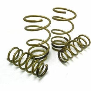 Tein SKL90-BUB00 High.Tech Lowering Spring Kit For Lexus IS250 NEW