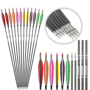 30 Zoll Carbonpfeile SP400 Compoundbögen ID6.2mm Naturfedern Bogenschießen Jagd - Picture 1 of 17