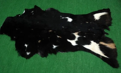 GOAT Western taxidermy Hide Rug Natural Pattern Fur Goat Hide Rode SA-270 - Image 1 of 3