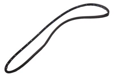 Genuine GM 2016-2019 Chevrolet Volt Rear Driver Side Door Weatherstrip 84270780 - Image 1 of 4