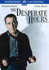 The Desperate Hours (DVD, 2013) Humphrey Bogart Paramount USA
