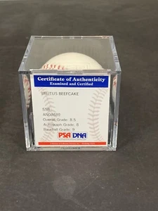 Brutus Beefcake HOF Wrestler, Autograph Rawlings MLB Baseball PSA 8 Overall 8,5 - Bild 1 von 5