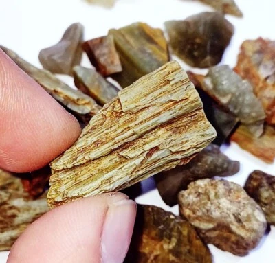 Lote de piedras preciosas sueltas 100 % crisoberilo natural ojo de gato áspero 171,00 quilates a la venta Foto 1 de 4