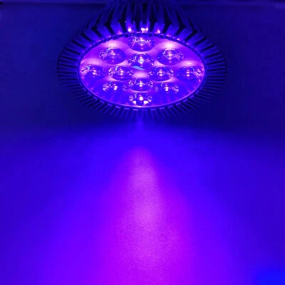 36W 395nm~400nm PAR38 UV Ultraviolet Purple LED Lamp Spot Light Bulb for Curing - Image 1 of 4