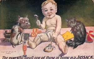 JASSACK JACKASS Cursing Postcard Baby Pets Posted 1909 a/s HIR Dog Cat Humor - Picture 1 of 2