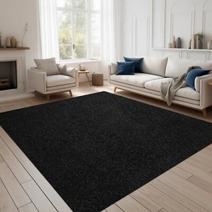 Area Rugs for Living Room or Bedroom, Black Carpet Runner Rug Indoor Mat - Picture 1 of 15