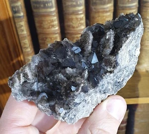 Quartz morion, Entraygues-sur-Truyère, Rodez, Aveyron (12), Occitanie, France - Picture 1 of 5