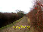 Photo 6x4 Rosehip Bridleway Hullbridge This is part of the Public Bridlew c2011