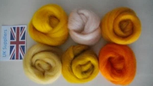 Craft Wool Needle Wet Felting 30g 6 x pack (Merino/Lincoln)Corriedale Top Roving