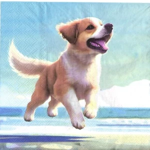 Papierhandtücher Hund Welpe am Meer/Meer/Strand. Servietten Hund Welpe Meer - Bild 1 von 1