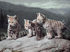 Charles Frace 3 DREIE EINER ART 9"" x 12"" Kunstdruck Leopardenjungen - Bild 1 von 1
