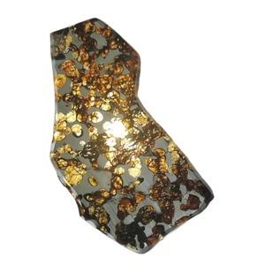 40.5g Seymchan pallasite Meteorite slice QA323 - Picture 1 of 10