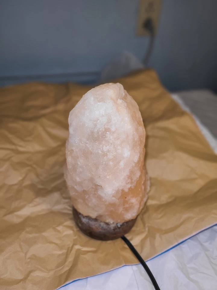 Paquete de 8 bombillas de roca salina 15W de repuesto para lámparas de sal del Himalaya Foto 1 de 1