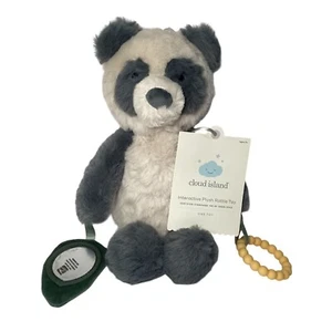 Cloud Island Interactive Plush Bear Rattle Toy Brand New With Tags - Picture 1 of 3