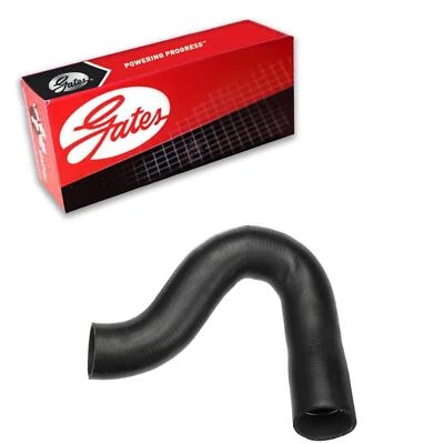 Manguera de refrigerante de radiador Gates para Ford F-59 1988-1994 chasis comercial despojado Foto 1 de 3