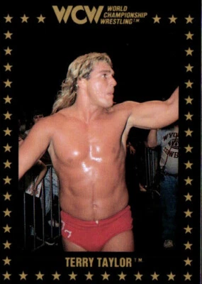 1991 Championship Marketing WCW Wrestling Card #33 Terry Taylor - Image 1 of 2