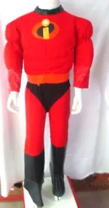 Disney Pixars Incredibles one piece Halloween youth child costume - Picture 1 of 12