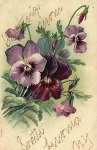 Vintage Postcard 1910's Painting Purple Flowers Cartolina Postale - Picture 1 of 2