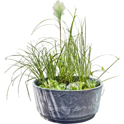 Solar Wassergarten AQUATOPIA inkl. Wasserspielpumpe - Miniteich, Dekoteich, - Bild 1 von 4