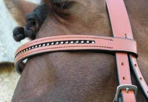 Nueva Diamante Diamonte Browband Brow Band SR15Tan - Imagen 1 de 1