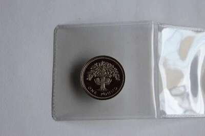1987 UK ONE POUND SILVER PROOF COIN - Image 1 of 2