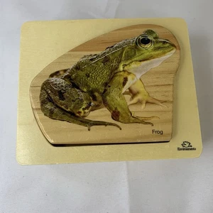 Nesting Stapeln Holz Grob Frosch Lebenszyklus Puzzle Montessori-Stiel - Bild 1 von 6