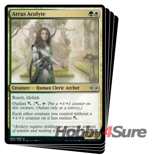 Arcus Acolyte X4 M/NM Magic: The Gathering MTG Modern Horizons 2 - Image 1 of 1