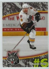 2007-08 Chicago Wolves  (AHL) Karel Pilar